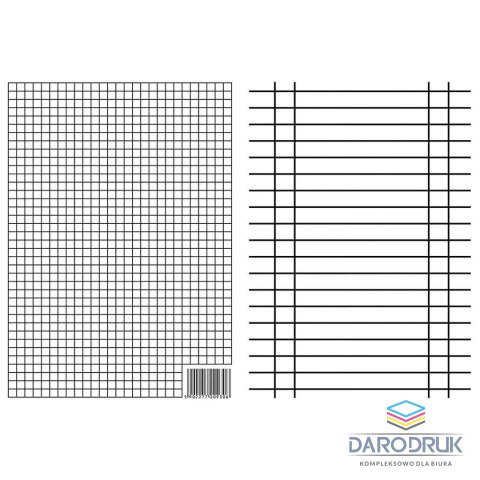 Interdruk Liniuszek A5 Interdruk (LI10)