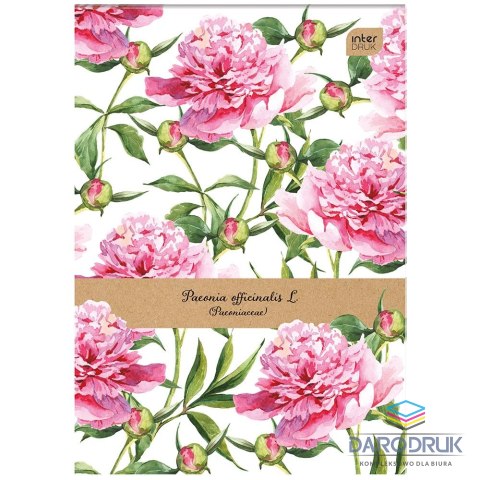 Interdruk Notes (notatnik) A7 50k. krata [mm:] 74x105 Interdruk (NOA7)