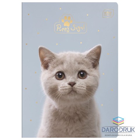 Interdruk Zeszyt A5 Puppy Sign 16k. 70g krata [mm:] 148x210 Interdruk (ZE16#PS)