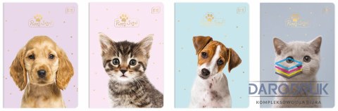 Interdruk Zeszyt A5 Puppy Sign 16k. 70g krata [mm:] 148x210 Interdruk (ZE16#PS)