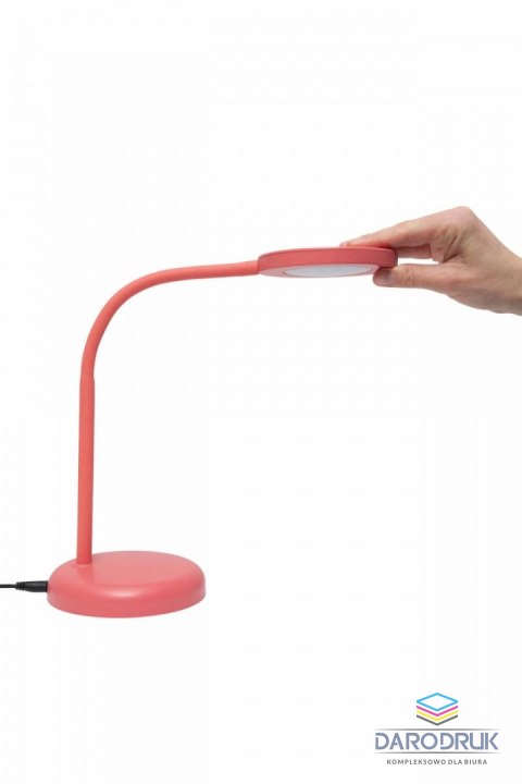 Maul Lampka biurowa LED MAULjoy RÓŻOWA Maul (82006/23 ML)