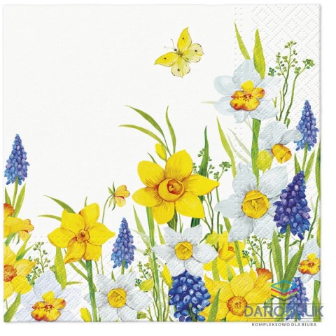 Paw Serwetki Tete Spring Daffodills mix nadruk bibuła [mm:] 330x330 Paw (TL122600)