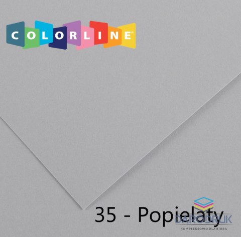 Canson Brystol Colorline 35 popielaty 150g 10k [mm:] 500x650 Canson (200041411)
