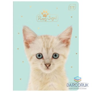 Interdruk Zeszyt A5 PUPPY SIGN 32k. 70g krata Interdruk (ZE32#PUP)