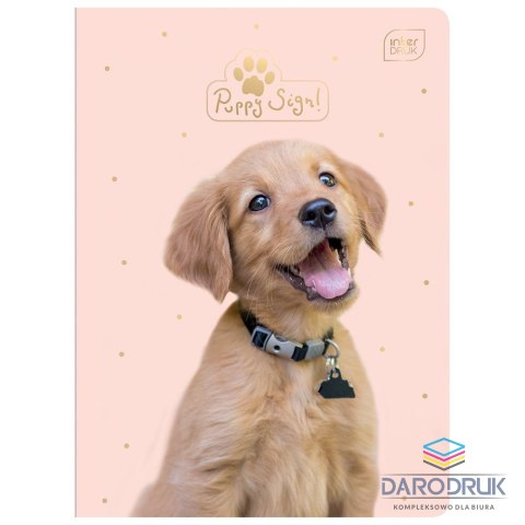 Interdruk Zeszyt A5 PUPPY SIGN 32k. 70g krata Interdruk (ZE32#PUP)
