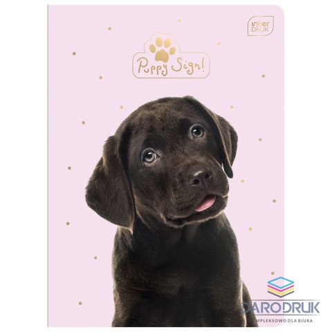 Interdruk Zeszyt A5 PUPPY SIGN 32k. 70g krata Interdruk (ZE32#PUP)