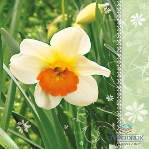 Serwetki wiosna mix bibuła [mm:] 330x330