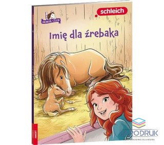 Ameet Książeczka edukacyjna HORSE CLUB. Imię dla źrebaka Ameet (LNR 8401)