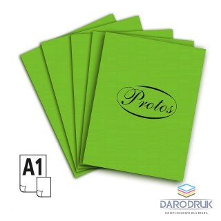 Protos Brystol A1 A1 zielony jasny 160-180g 20k [mm:] 610x860 Protos