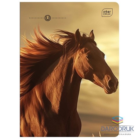 Interdruk Zeszyt A5 KOL3= 32k. 70g linia kolor Interdruk