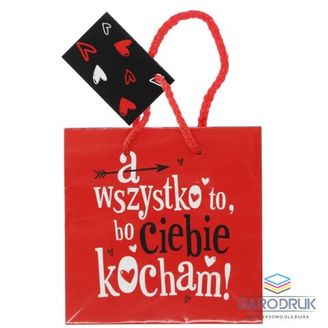 Torba prezentowa CD