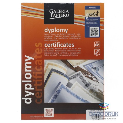 Galeria Papieru Dyplom A4 przyjaciele napisy 250g Galeria Papieru (219125)