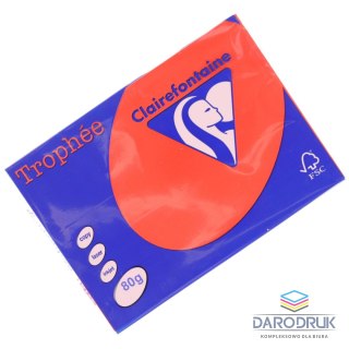 Trophee Papier kolorowy A4 kolorowy czerwony koralowy 250k. 80g Trophee (xca48175)