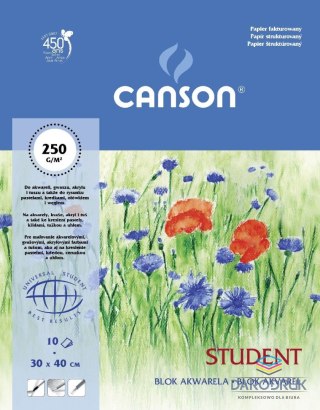 Canson Blok artystyczny Student A3 250g 10k [mm:] 300x400 Canson (200005507)