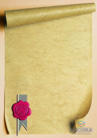 Galeria Papieru Dyplom A4 pieczęć 170g Galeria Papieru (211717)