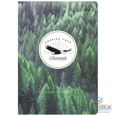Interdruk Zeszyt A5 60k. 70g linia Interdruk (ZE60KF=)