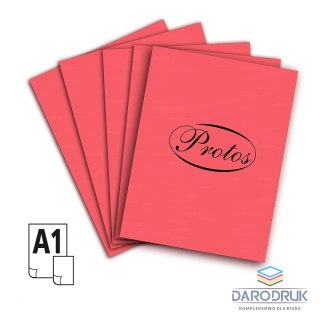 Protos Brystol A1 A1 czerwony jasny 160-180g 20k [mm:] 610x860 Protos