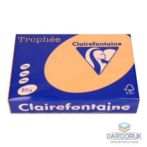 Trophee Papier kolorowy A4 kolorowy pomarańczowy 80g Trophee (xca41878)