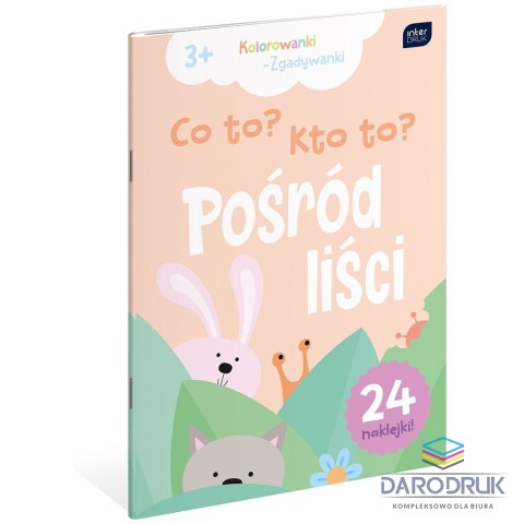 Interdruk Kolorowanka CO TO ? KTO TO? A4 16 z naklejkami Interdruk (5902277312112)