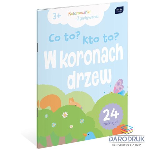 Interdruk Kolorowanka CO TO ? KTO TO? A4 16 z naklejkami Interdruk (5902277312112)
