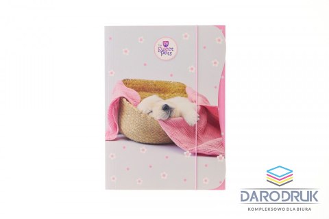 Beniamin Teczka kartonowa na gumkę THE SWEET PETS - KIDS A4 mix Beniamin (5962)
