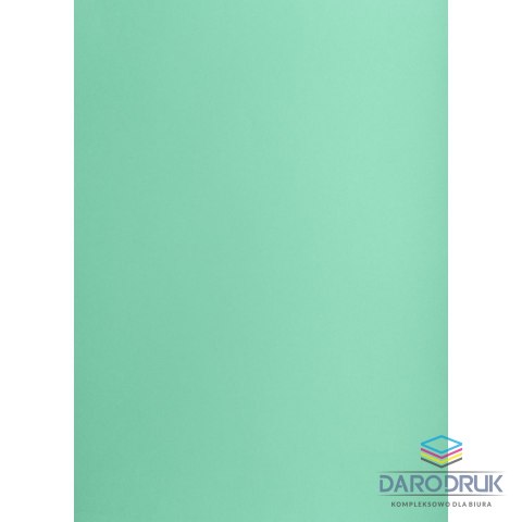 TOP-2000 Brystol A1 turkusowy 160g [mm:] 610x860 TOP-2000 (400149554)