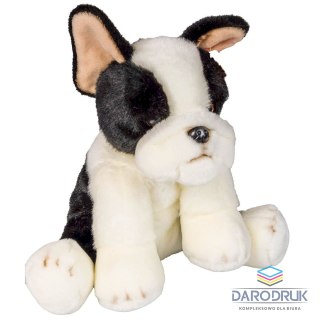 Anek Pluszak pies Boston terrier [mm:] 300 Anek (844404BS)