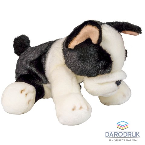 Anek Pluszak pies Boston terrier [mm:] 300 Anek (844404BS)