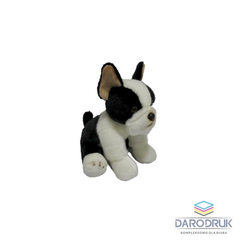 Anek Pluszak pies Boston terrier [mm:] 300 Anek (844404BS)