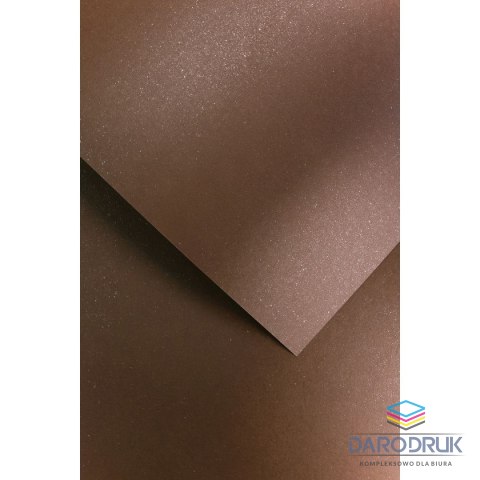 Galeria Papieru Papier ozdobny (wizytówkowy) A4 mika brązowy 240g Galeria Papieru (202718)