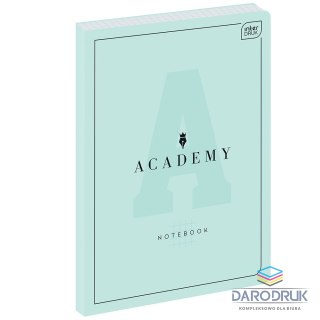 Interdruk Brulion B5 ACADEMY 128k. 90g krata Interdruk (BRB5128ACADEP)