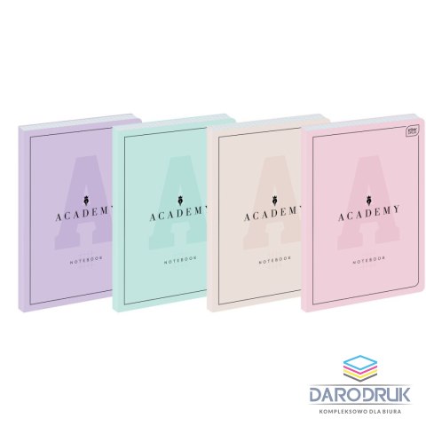 Interdruk Brulion B5 ACADEMY 128k. 90g krata Interdruk (BRB5128ACADEP)