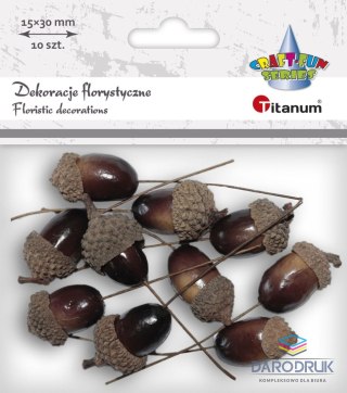 Titanum Gałązka Craft-Fun Series żolędzie Titanum (20625)