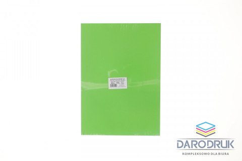 Protos Brystol A3 jasnozielony 160g 20k Protos