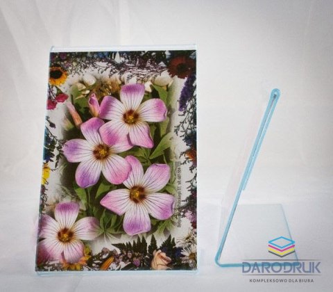 Gedeon Ramka plexi [mm:] 40x60 Gedeon (PLX4PL)