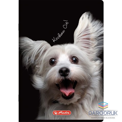 Herlitz Zeszyt A5 Crazy Animal 60k. 70g krata Herlitz (400196837)