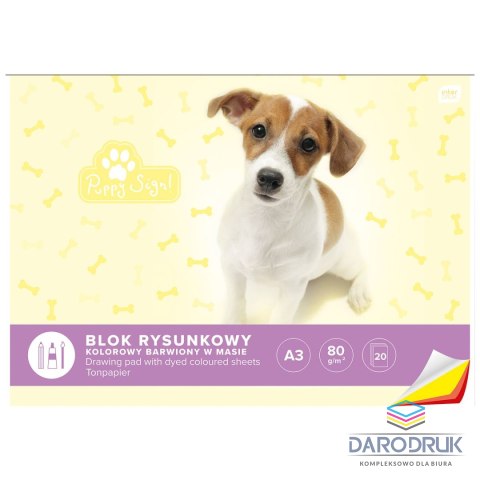 Interdruk Blok rysunkowy A3 kolorowy 60g 20k [mm:] 420x297 Interdruk (BLRA3K)