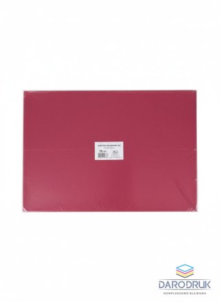 Protos Brystol A3 bordowy 160g 20k Protos