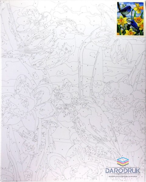Flamingo Line Zestaw kreatywny Malowanie po numerach 40x50cm Ptaszki na żonkilach Flamingo Line (FSY689)