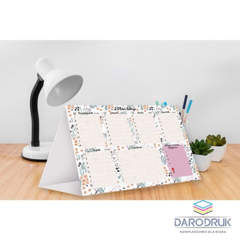 Henry Plan lekcji KOT PATTERN Henry (5905701481774)