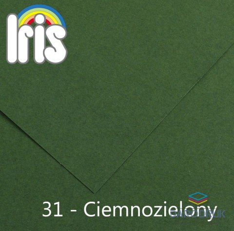 Canson Brystol Iris 31 zielony ciemny 150g 25k [mm:] 500x650 Canson (200040470)