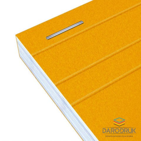 Oxford Notes (notatnik) A4+ Everyday 80k. krata Oxford (100106283)