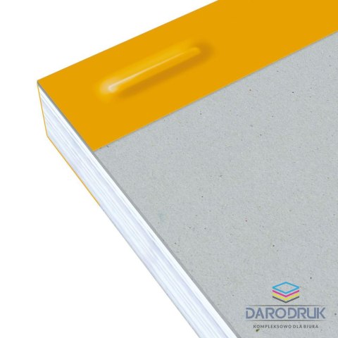 Oxford Notes (notatnik) A4+ Everyday 80k. krata Oxford (100106283)