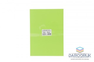Protos Papier kolorowy A4 limonka zielony 50k. 160g Protos