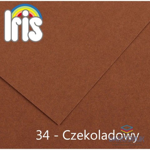 Canson Brystol A4 czekoladowy 185g 50k Canson (200040176)