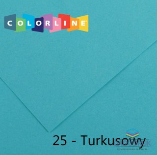 Canson Brystol Colorline 25 turkusowy 150g 10k [mm:] 500x650 Canson (200041401)