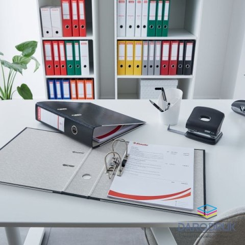 Esselte Segregator dźwigniowy Ekonomiczny A4 50mm pomarańczowy Esselte (81171)