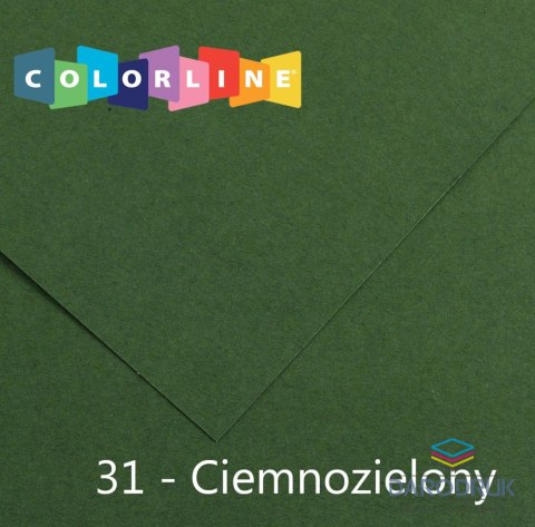 Canson Brystol Colorline 31 zielony ciemny 150g 10k [mm:] 500x650 Canson (31074S056)