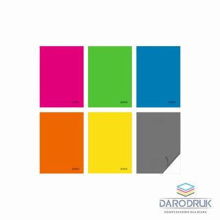 Herlitz Zeszyt A5 PP Colors 60k. krata [mm:] 145x208 Herlitz (9566613)