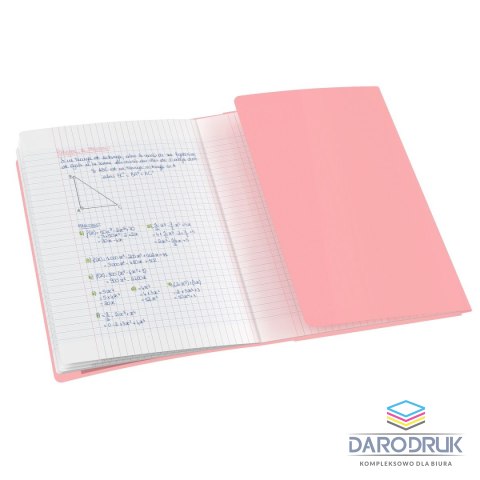 Oxford Zeszyt A5 EASYBOOK PASTEL 60k. 90g linia Oxford (400161236)